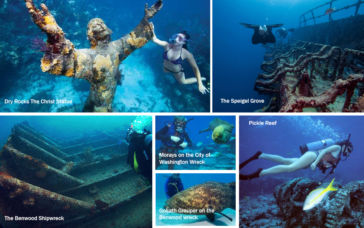 Scuba Diving in the Florida Keys
