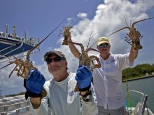 Lobster Mini Season