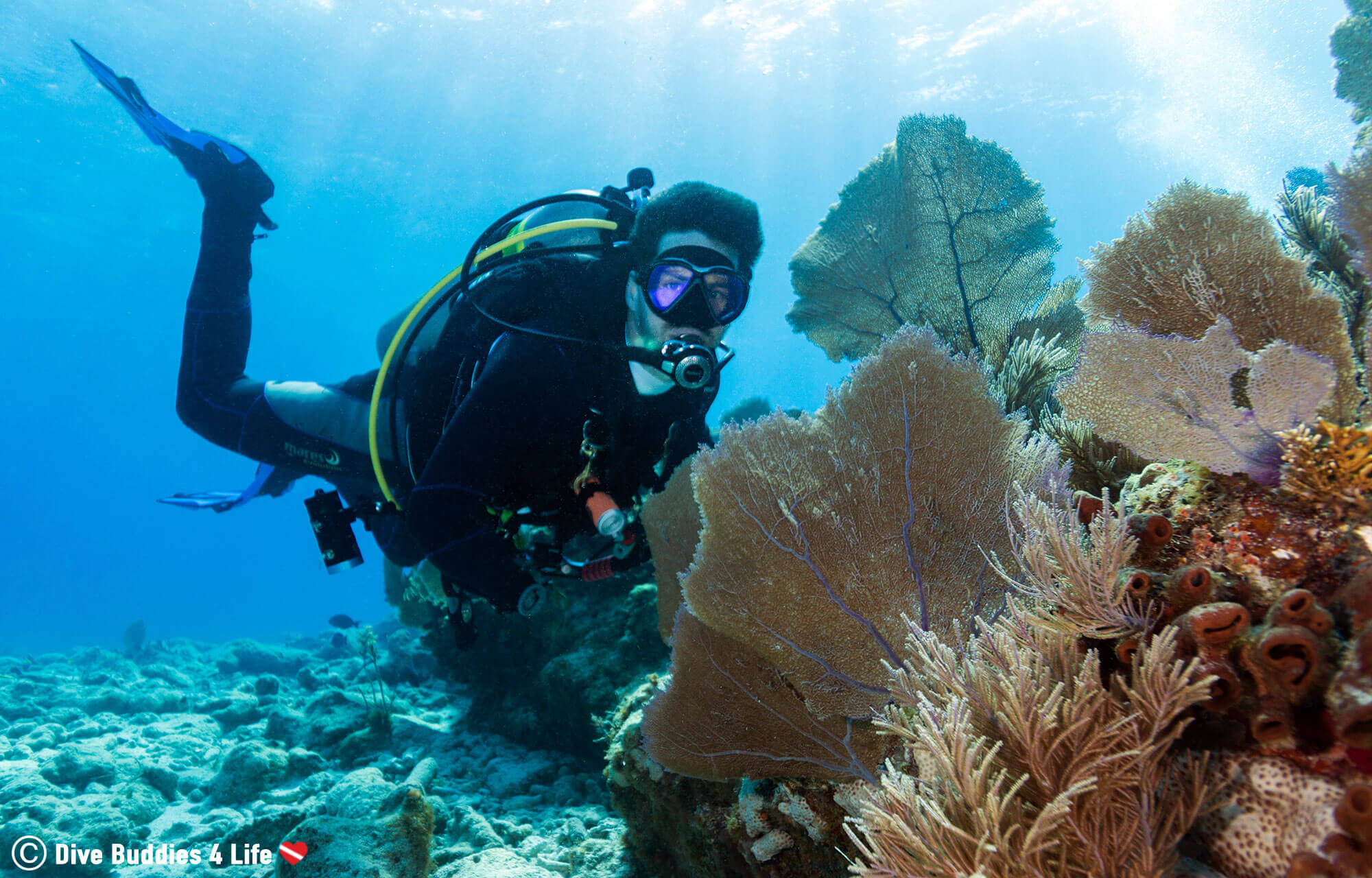 Florida Keys Vacation Guides